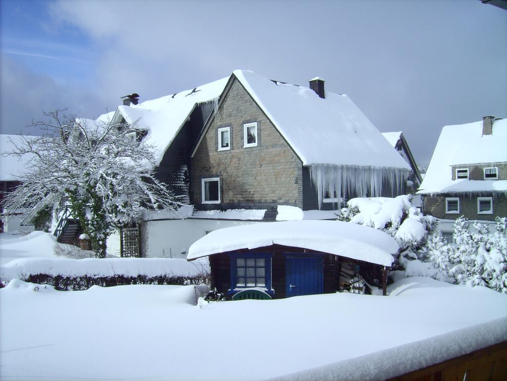 Ferienwohnung Boerner Winterberg Exterior photo